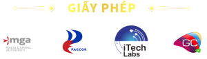 giấy phép 6686