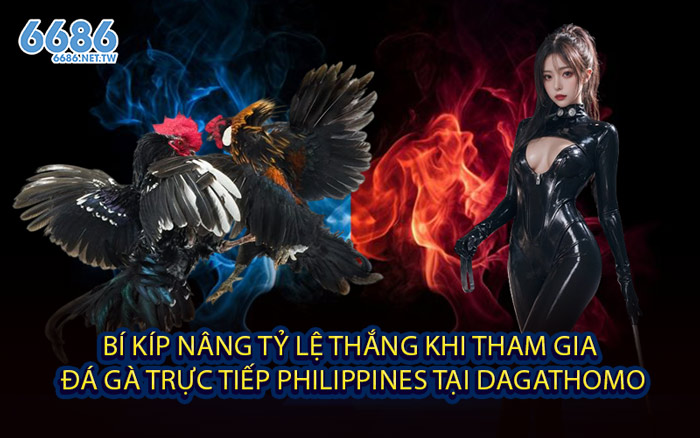Bí kíp nâng tỷ lệ thắng khi tham gia Đá Gà Trực Tiếp Philippines tại Dagathomo