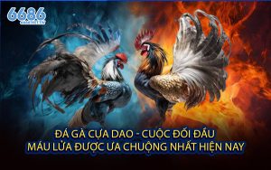 Đá Gà Cựa Dao - Cuộc Đối Đầu Máu Lửa Được Ưa Chuộng Nhất Hiện Nay