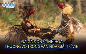 Đá Gà Đòn - Tinh Hoa Thượng Võ Trong Văn Hóa Giải Trí Việt