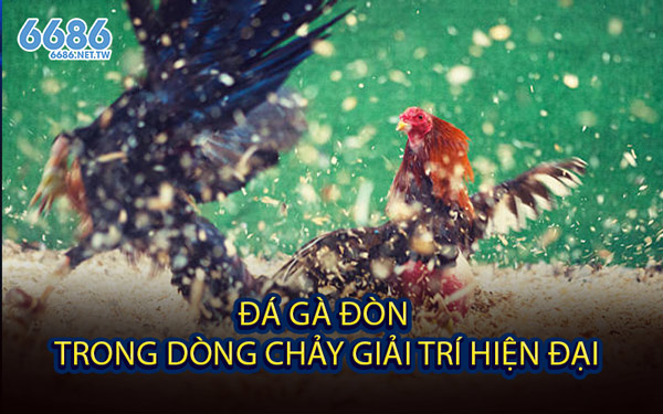 Đá Gà Đòn Trong Dòng Chảy Giải Trí Hiện Đại