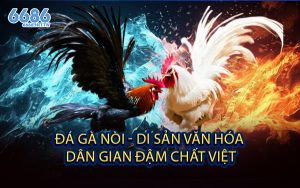 Đá Gà Nòi - Di Sản Văn Hóa Dân Gian Đậm Chất Việt
