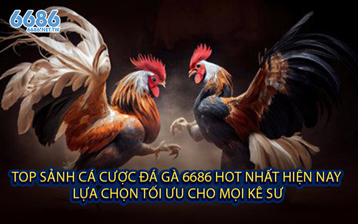 Top Sảnh Cá Cược Đá Gà 6686 Hot Nhất Hiện Nay – Lựa Chọn Tối Ưu Cho Mọi Kê Sư