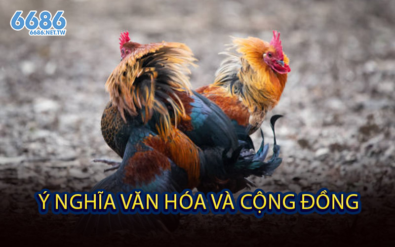 Ý Nghĩa Văn Hóa Và Cộng Đồng